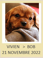 VIVIEN