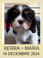 XERRA
