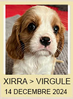 XIRRA